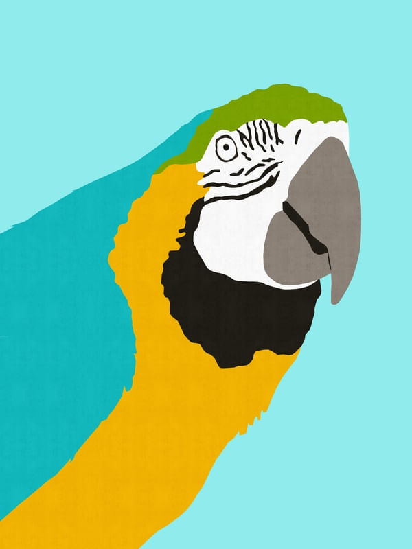 AVE TROPICAL II