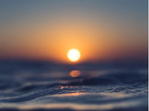 SENSE SEA