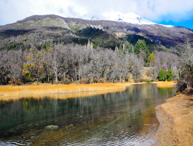 PAISAGEM LAGO
