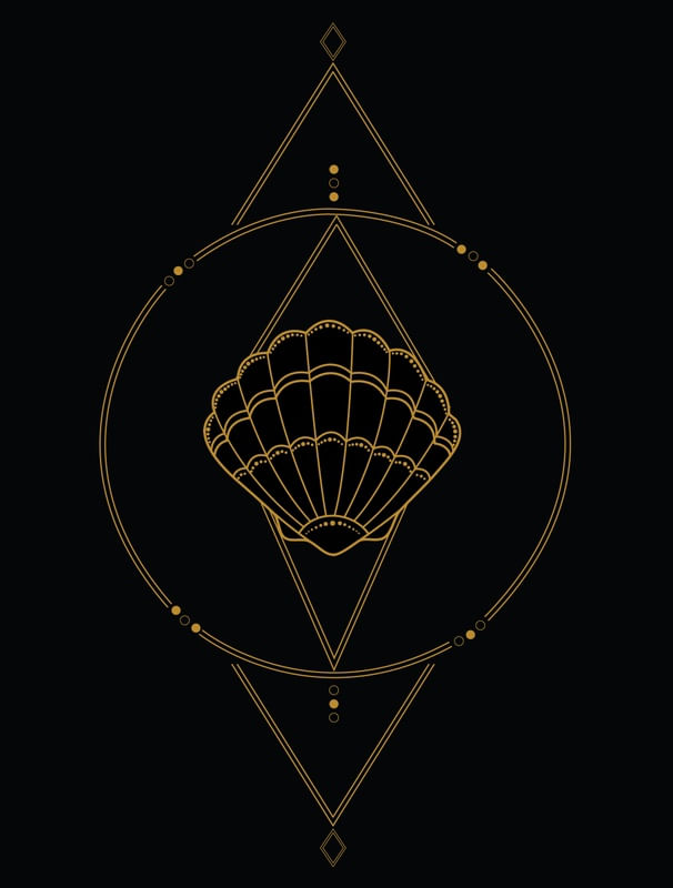 CONCHA GEOMÉTRICA
