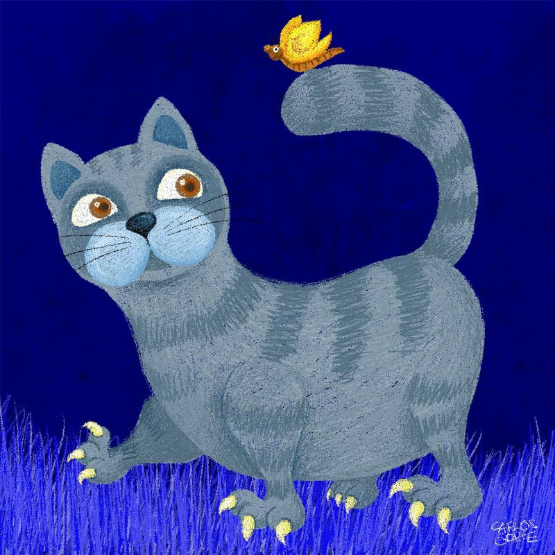 GATO CAMINHANDO