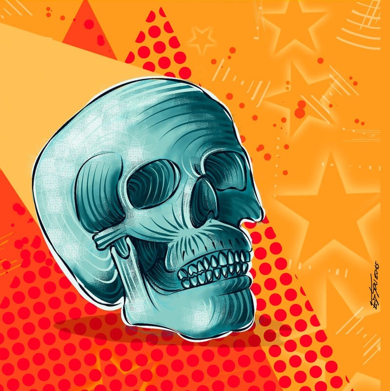 MY OLD SKULL
