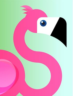 BIRD COLLECTION FLA