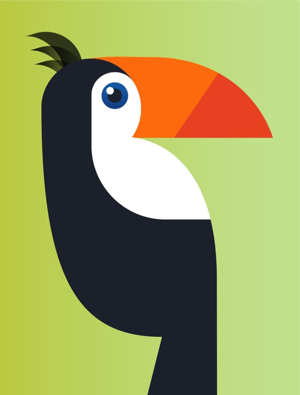 BIRD COLLECTION TU