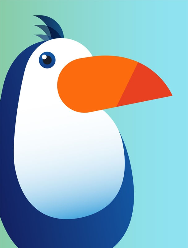 BIRD COLLECTION PO