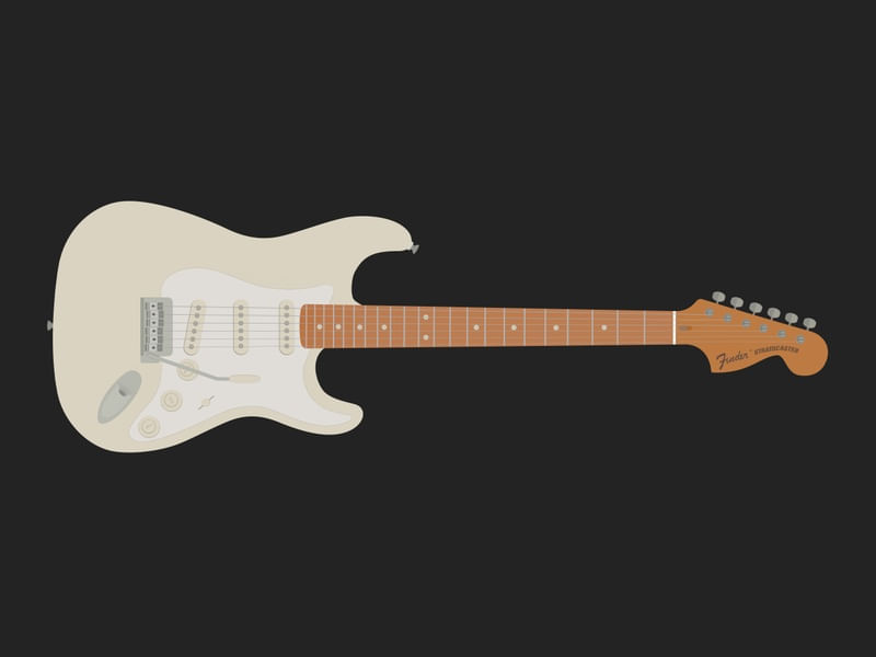STRATOCASTER GUITAR (P)