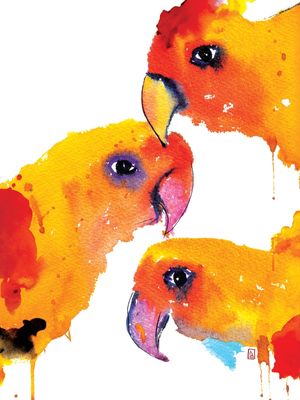 THE BIRDS I