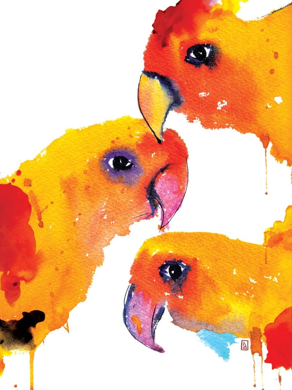 THE BIRDS I
