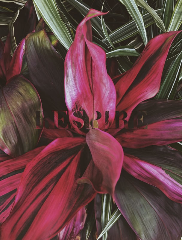 RESPIRE.