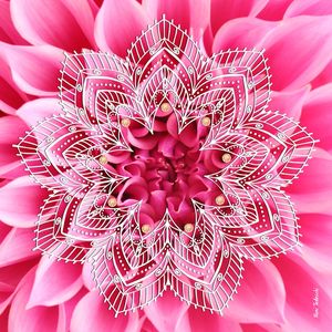 BIG FLOWER MANDALA PINK