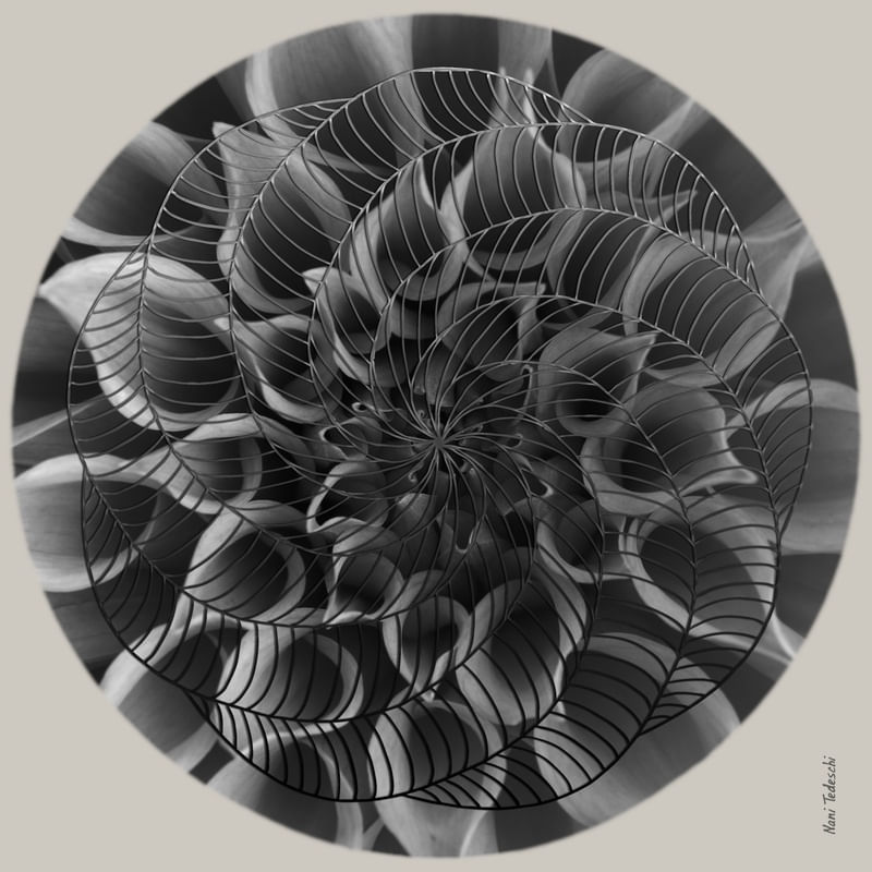 BIG MANDALA GREY