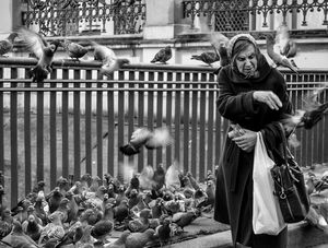 A SENHORA E OS POMBOS - RÚSSIA 2013