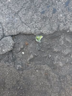 NATUREZA FUGIDIA
