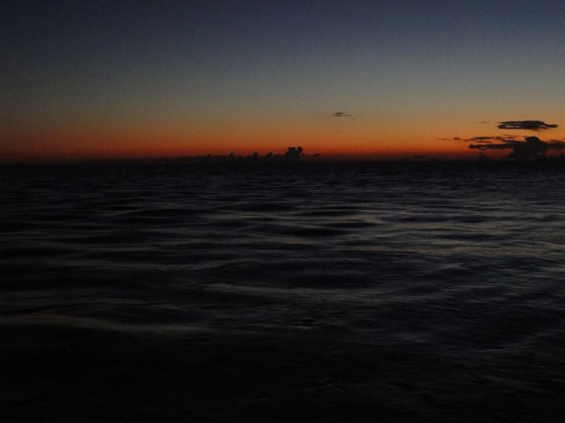 MAR SILENTE