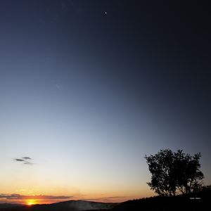 SOL, LUA E ÁRVORE
