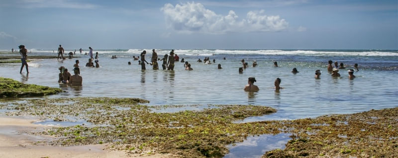 BANHISTAS EM PANORÂMICA