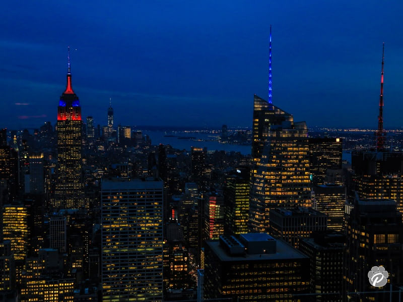 NYC AND THE LIGHTS