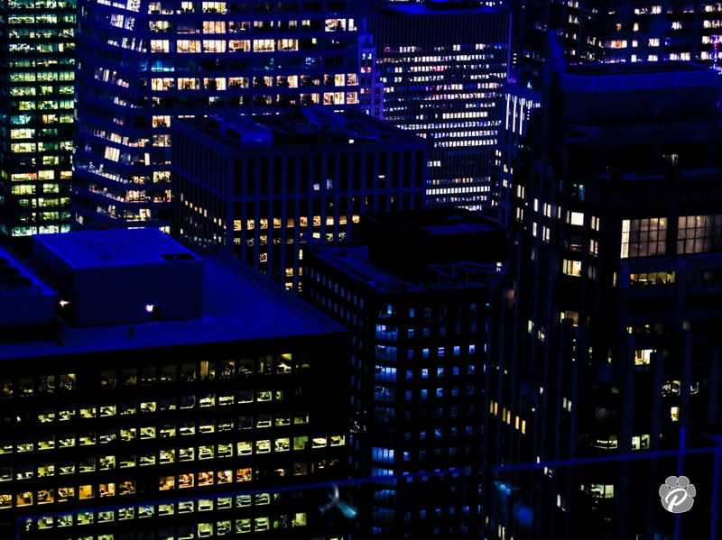 LIGHTS IN THE DARK