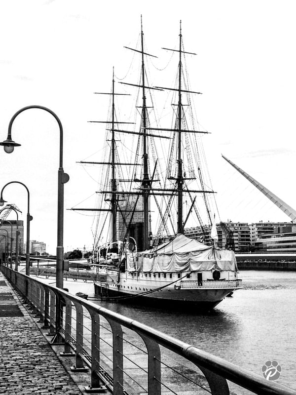AHOY 01