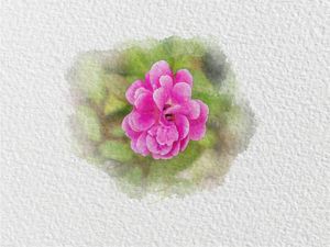 FLOR AQUARELA 5