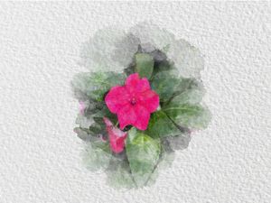 FLOR AQUARELA 1