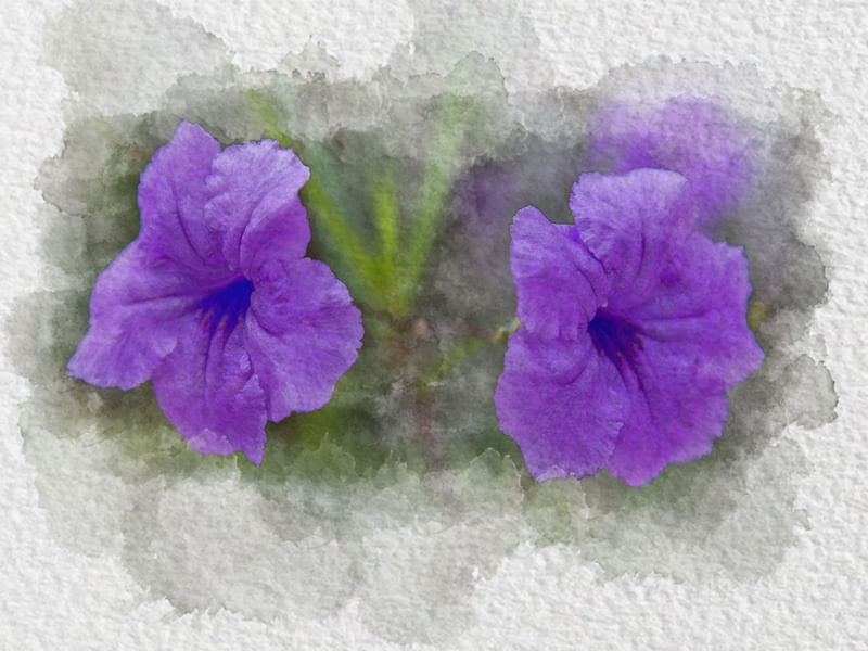 FLOR AQUARELA 2