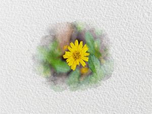 FLOR AQUARELA 7