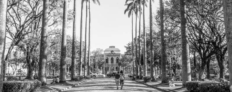 CAMINHO DA LIBERDADE
