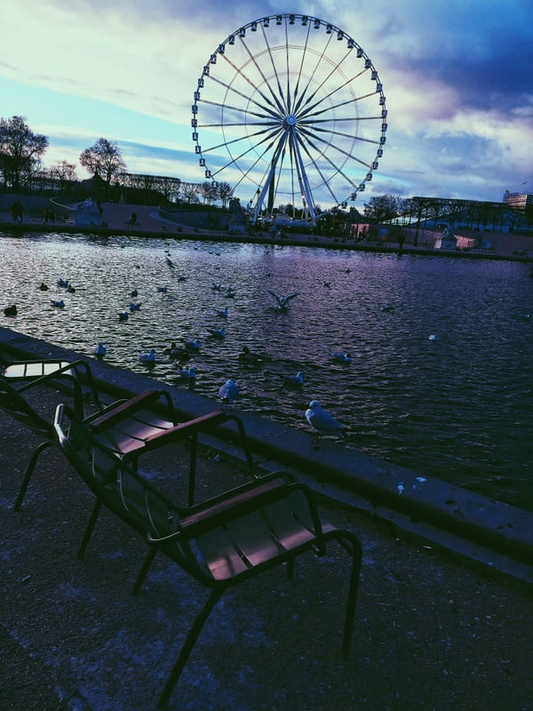 TUILERIES AO ENTARDECER