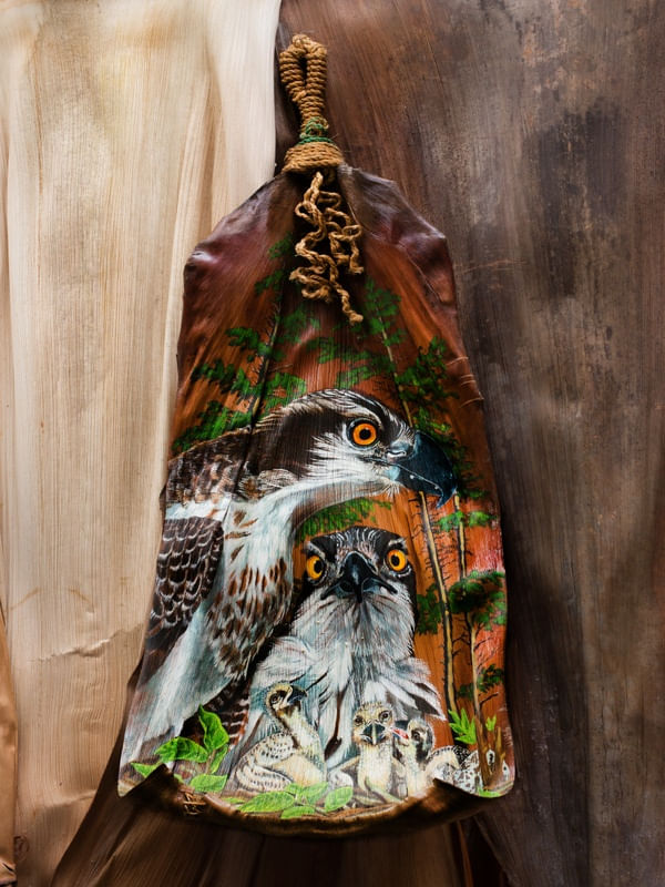 ÁGUIA OSPREY