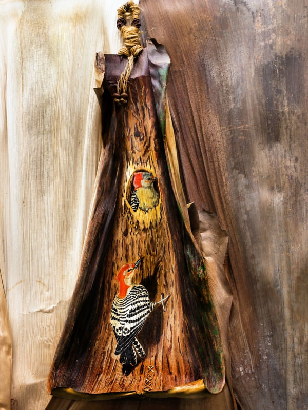 NINHO DO PICA-PPAU, "WOODPECKER NEST"