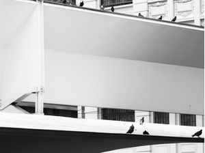 CIDADE CINZA E SEUS HABITANTES