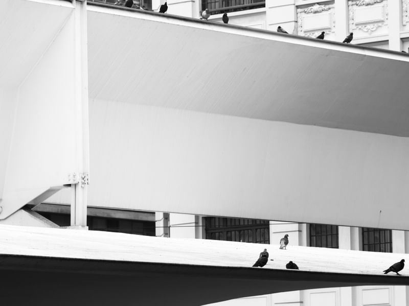 CIDADE CINZA E SEUS HABITANTES