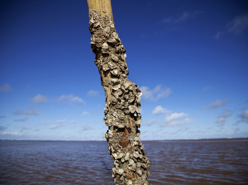 CONDOMÍNIO BEIRA-MAR