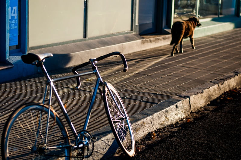BICICLETA EM CARMELO II