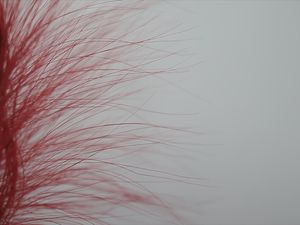 PLUMAS VERMELHAS LL