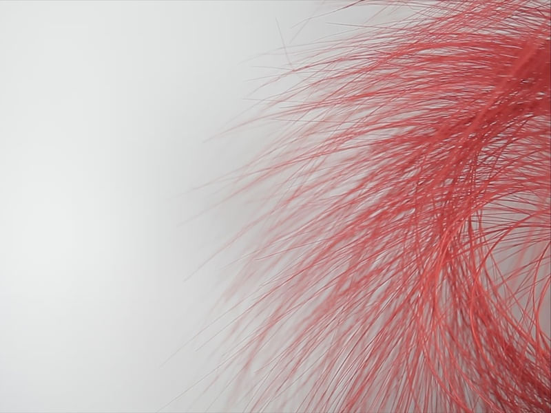 PLUMAS VERMELHAS LLL