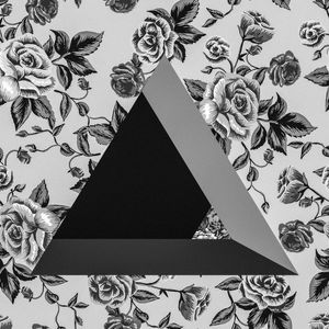 FLOWER PB - TRIANGULO
