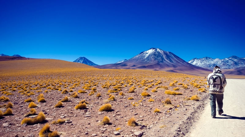 ATACAMA CAMINHADA