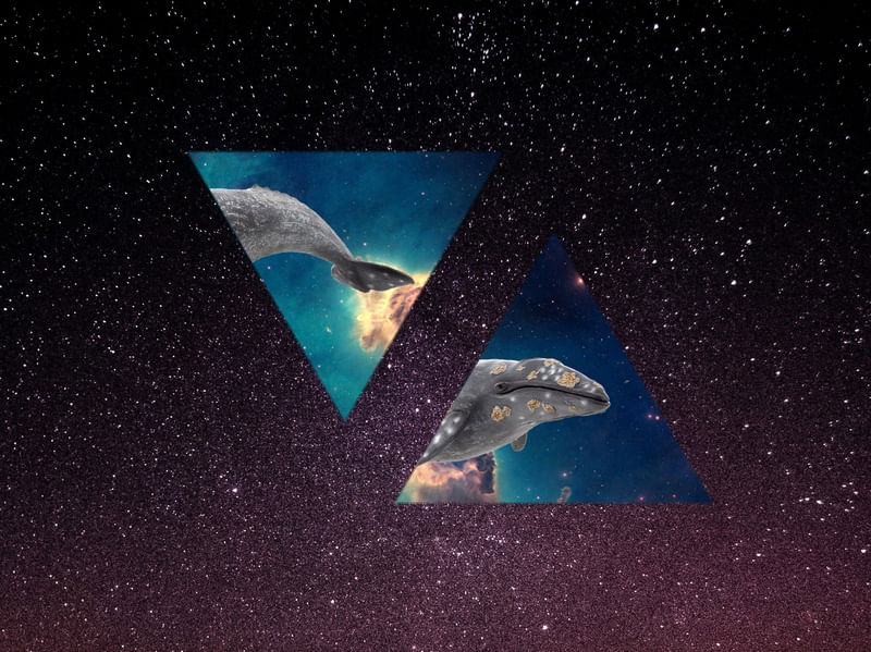 BALEIA ESPACIAL I