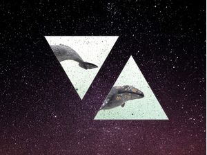 BALEIA ESPACIAL 2