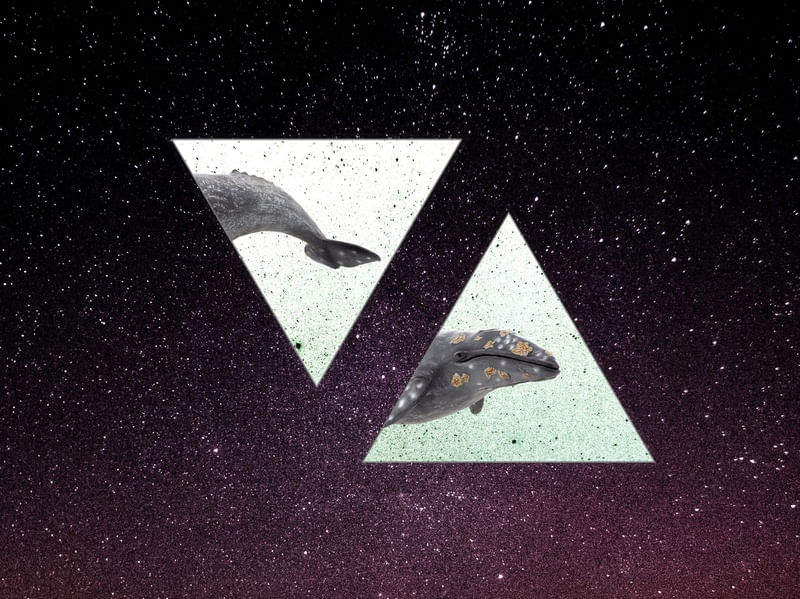 BALEIA ESPACIAL 2
