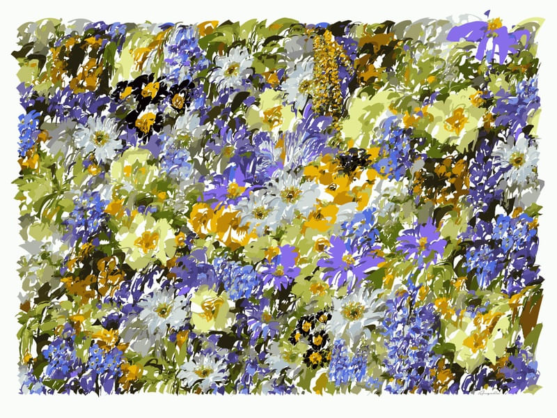 MONET