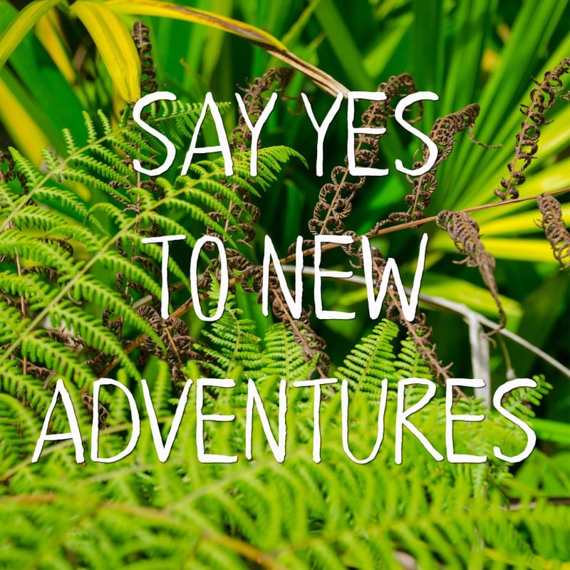 SAY YES TO NEW ADVENTURES