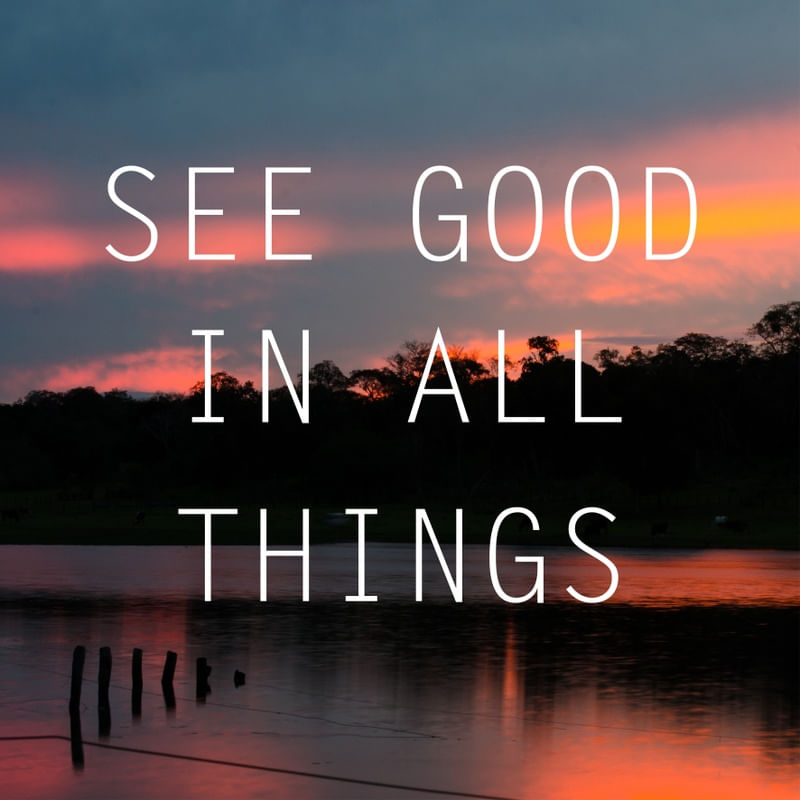 SEE GOOD IN ALL THINGS