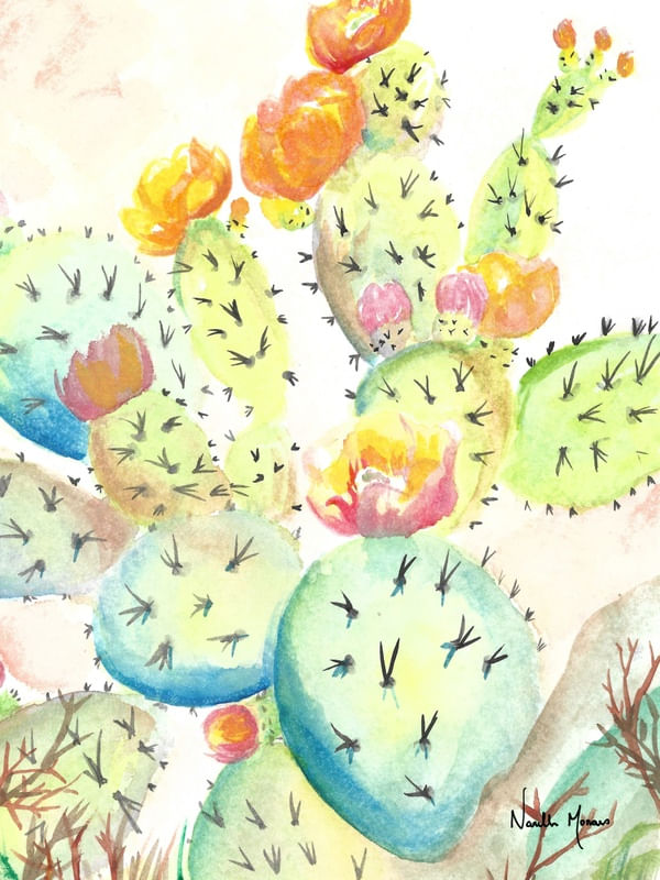 CACTO I EM AQUARELA