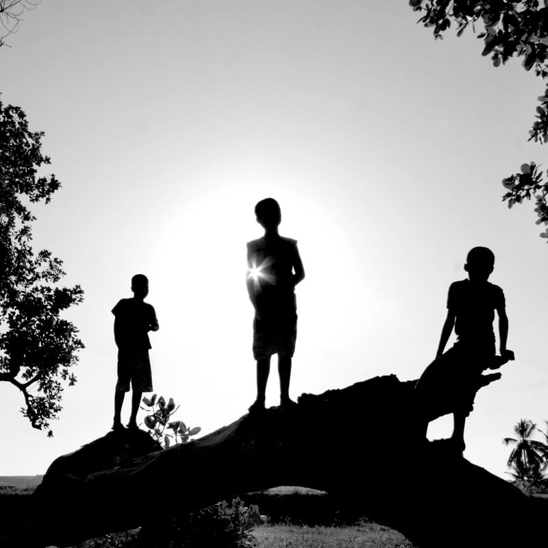 TRÊS MENINOS