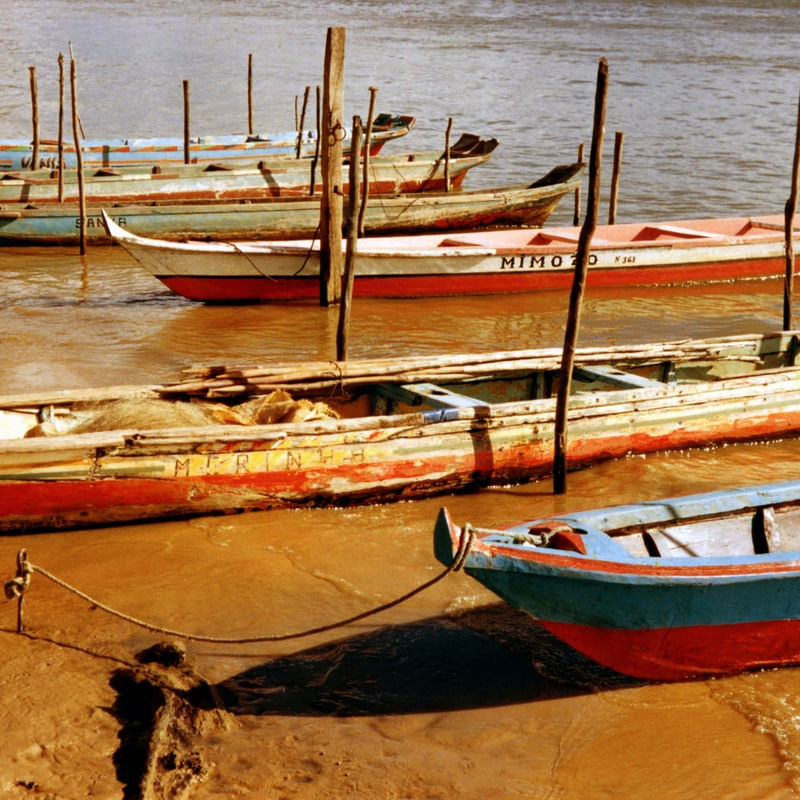CANOAS 33