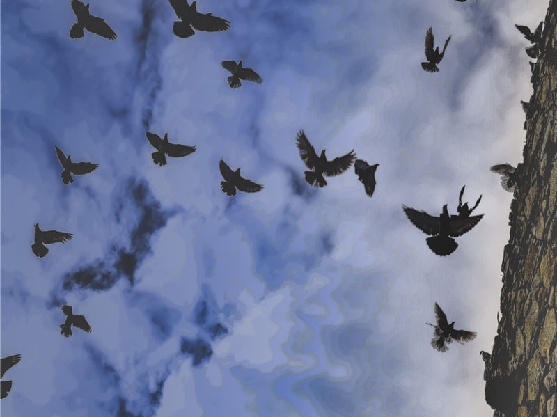 ENFIM NO CÉU