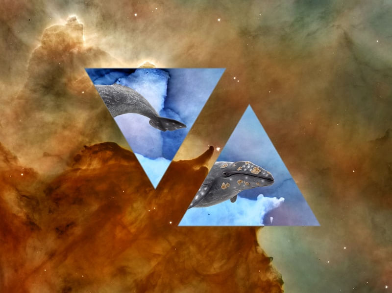 BALEIA ESPACIAL 3